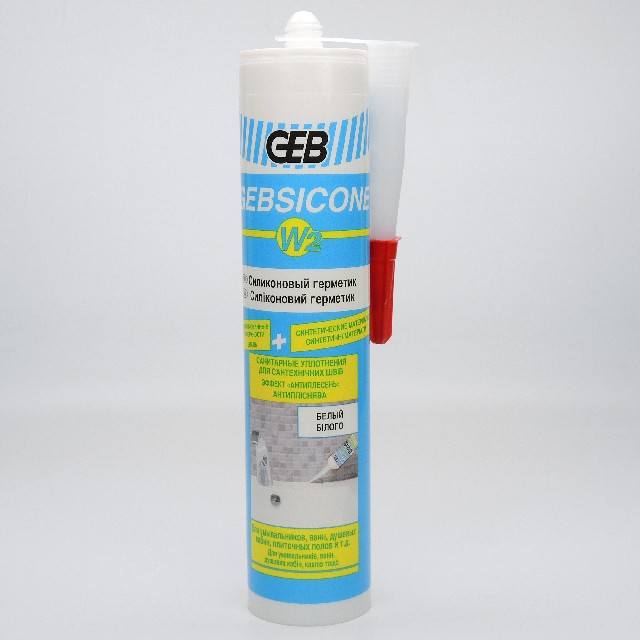 890501 ������ ���� GEBSICONE W2 310�� . ������� ����� GEB �������