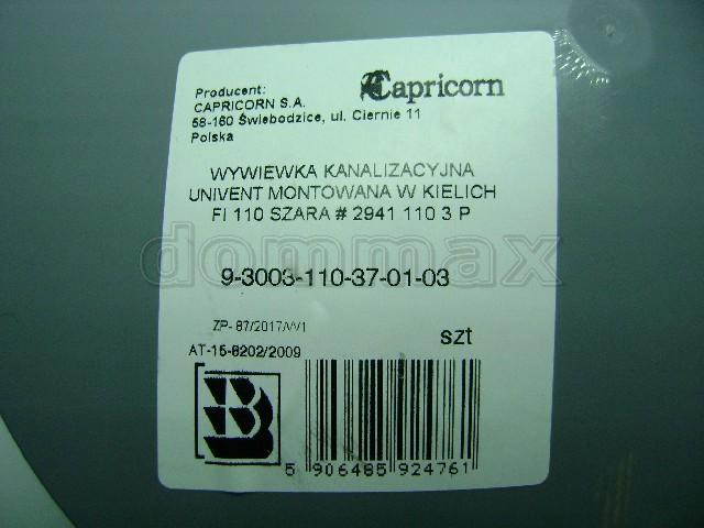  ������������� �������� �. 110 �������������� Capricorn ���� 148,1 ��� / ������ � ���