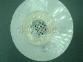  �������� �������� ���������� CTO-10L ��� ����� 10BB" �������� ����������� ����� Bio systems ���� 614,9 ��� / ������ � ���